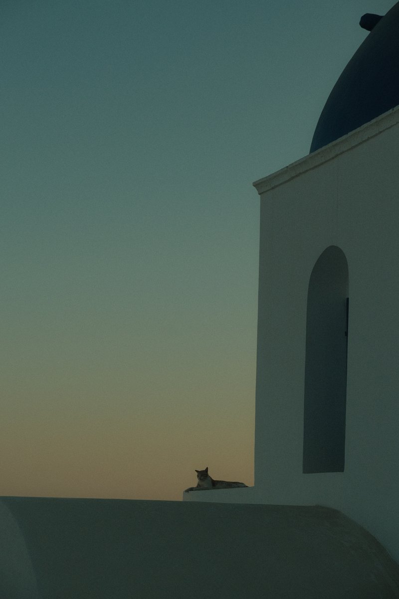 Gato en la iglesia al atardecer
