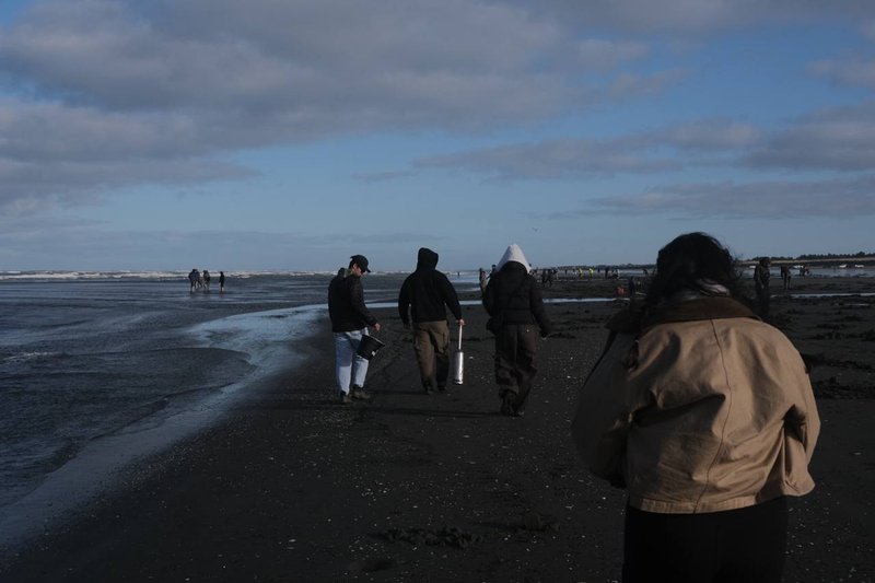 La playa y los carros